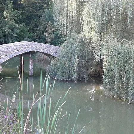 Mala Prica * Zivinice