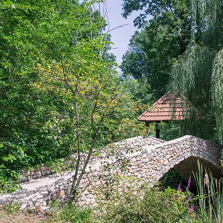 Casa de hóspedes Mala Prica Zivinice